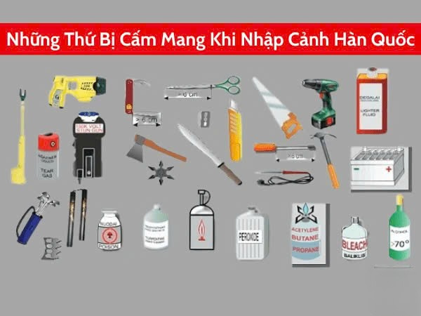 Đi máy bay không được mang gì khi tới Hàn Quốc? ( Ảnh: Internet)
