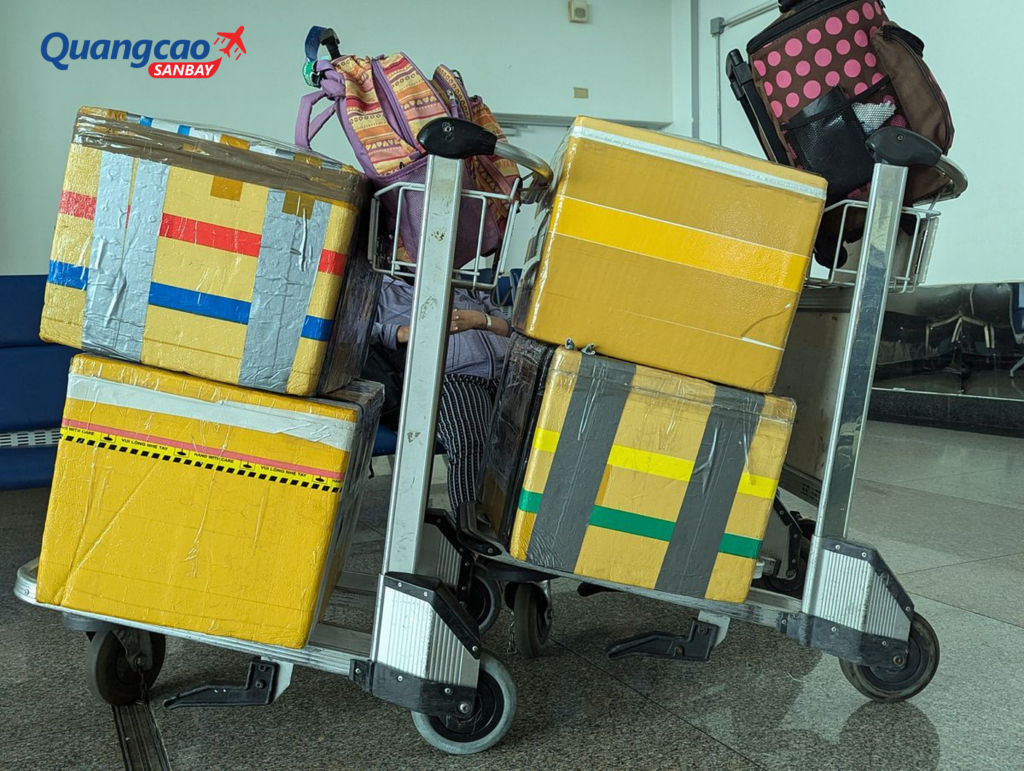 Kiểm tra trọng lượng và đóng gói kỹ thùng xốp khi đi máy bay quốc tế