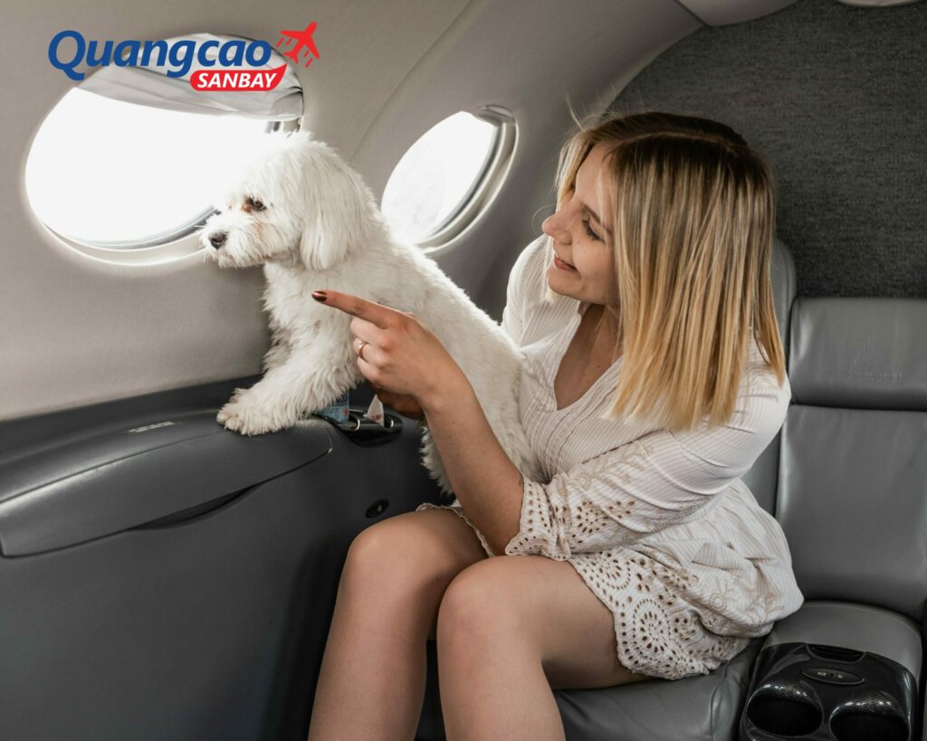 Hành khách được mang thú cưng lên máy bay Vietnam Airlines