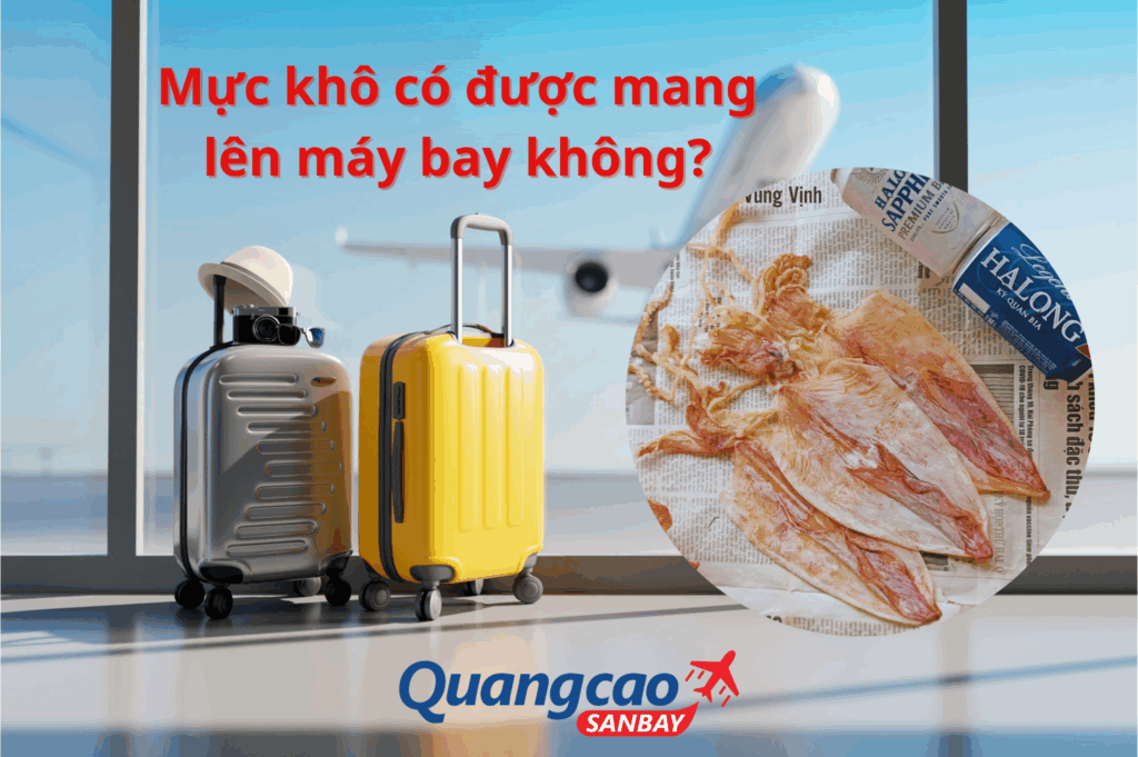 Giải đáp: Mực khô có được mang lên máy bay không?