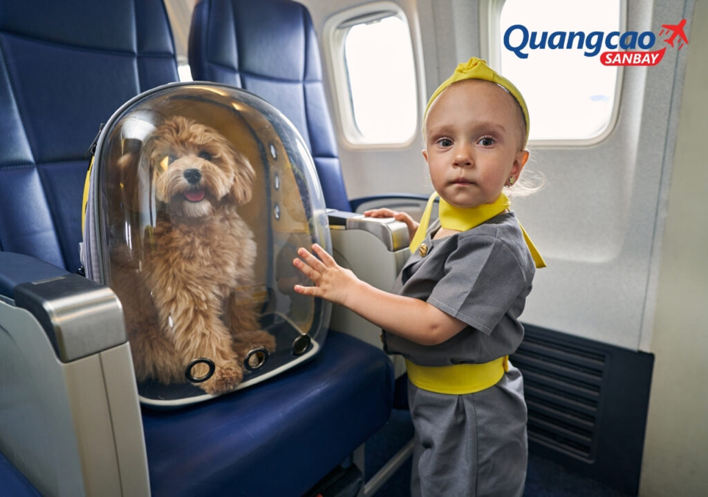Quy định vận chuyển thú cưng trên khoang hành khách