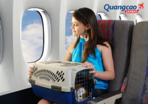 Thủ tục mang thú cưng lên máy bay Vietnam Airlines