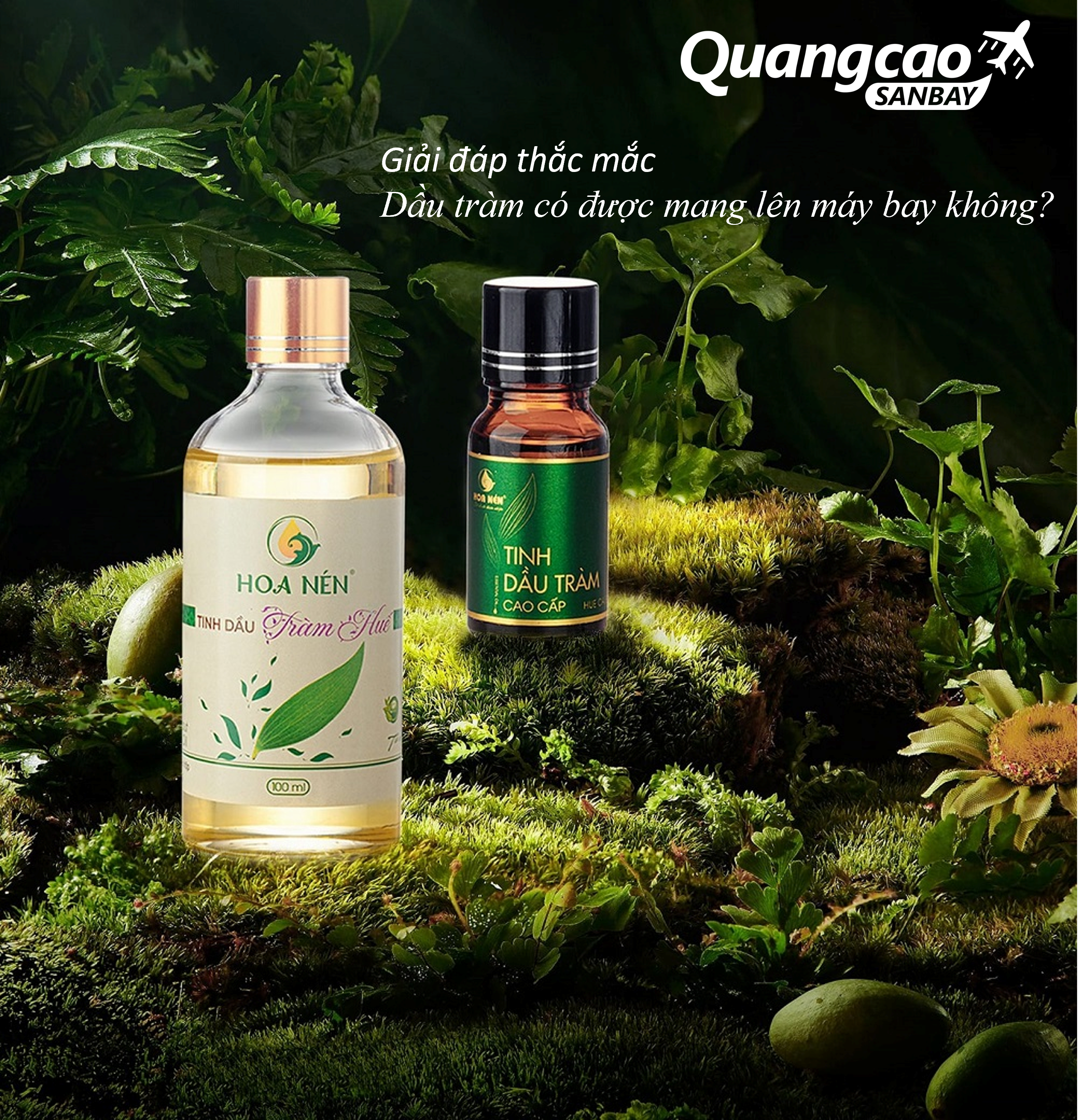 Giải đáp: Dầu tràm có được mang lên máy bay không?